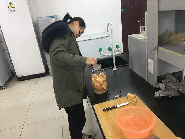 【社团快讯】果酒 简单的开始——苹果酒酿造一期