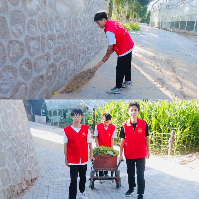 【三下乡】进田间地头·种植员张春明与“新”农来堡的十年相依——经济与管理学院“经”缘晋乡实践团助农篇
