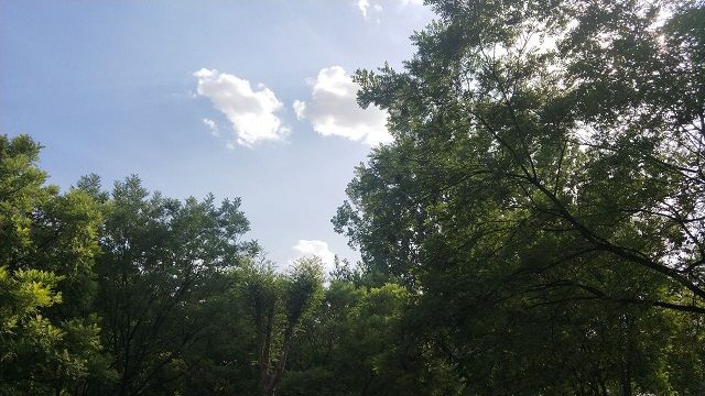 【完满班级】留住瞬间 影动生活——食品与环境学院资环1701班完满班级活动