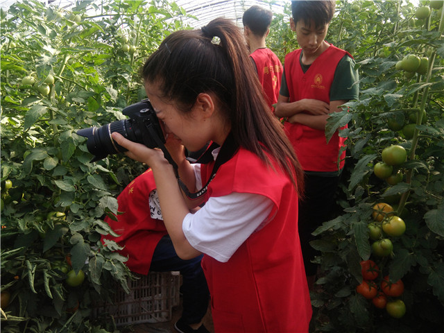 【三下乡】志愿者风采：收获番茄 收获不一般的经历——机电工程系“机时予”象谷村志愿服务纪实（三）
