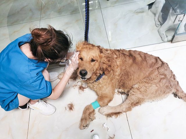 【暑期社会实践】立足专业知识 促进民生服务 ——食品与环境学院“青春兴晋”暑期社会实践纪实