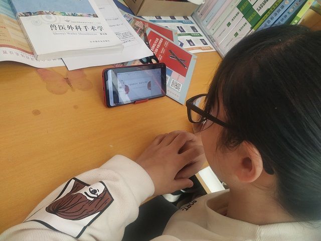 【完满班级】奋斗青春 超越梦想——食品与环境学院动医1803班完满班级活动