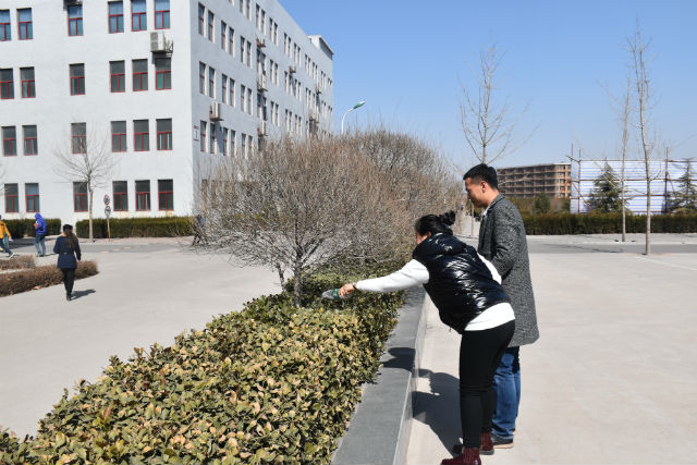 信工系第二届“植物大冒险”趣味活动大赛