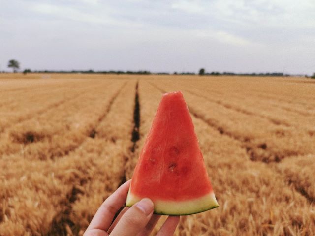 【完满班级】捕捉生活中的美——大数据学院、信息工程学院软件2101班完满班级活动