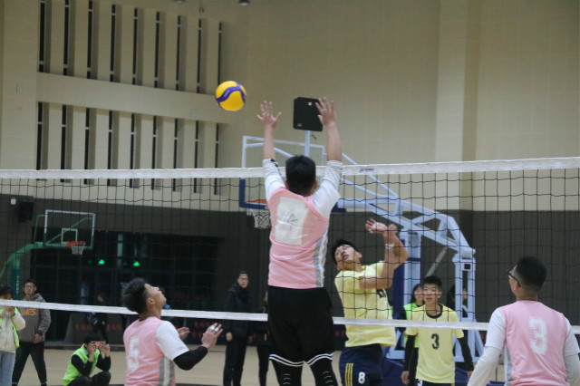用热爱铸就美好 彰显激梦勇进——外语系第八届 “至强杯”排球联赛纪实