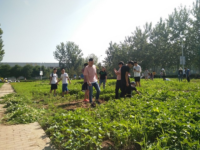 【完满班级】汇聚菁英 展望精英——食品与环境学院园林1603班完满班级活动