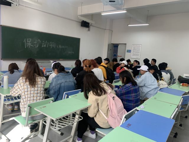 【完满班级】“生命可畏 万物有灵”——艺术传媒学院动画1902班举办保护野生动物宣讲活动