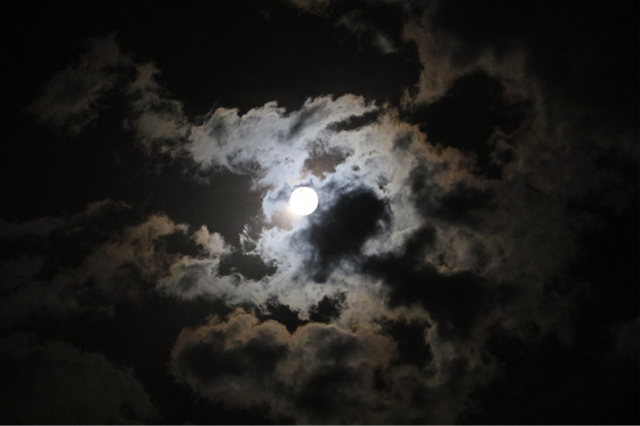 【前行】第134期：敬故乡一杯美酒  品别样乡愁