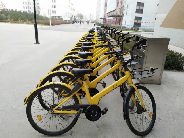 【完满班级】公益 与爱随行——淬炼商学院举办“善行青春”主题活动（四十八）