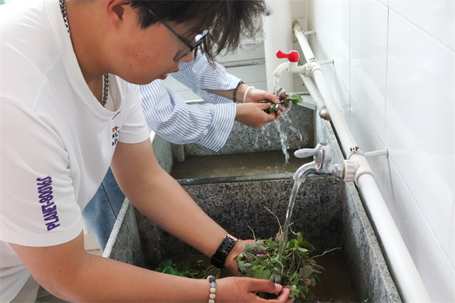 【1＋1＞2】微风吹来野菜香 勤奋劳动最光荣——箕城书院联合食品与环境学院联合举办第一届“野菜节”系列活动