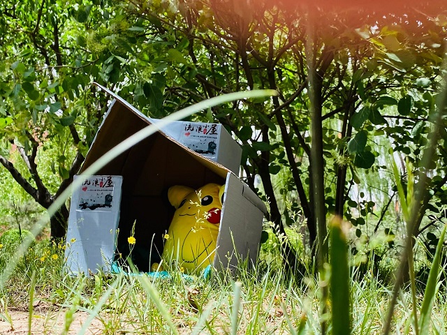 【青马工程】流浪小屋计划 让每一份爱心都得到归属