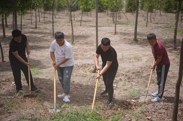 【社团快讯】除草换新守净土 绿动农业育人才——食品与环境学院绿时代助学兴农育人工程之“开心农场”农业体验园