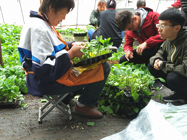 【完满班级】开启完满生活 踏上岁月征程——大数据学院软件1702班举办四月完满班级踏青活动