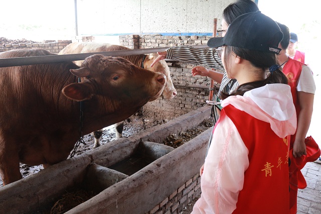 【三下乡】信院学子在基层：2017暑期“三下乡”社会实践活动圆满结束