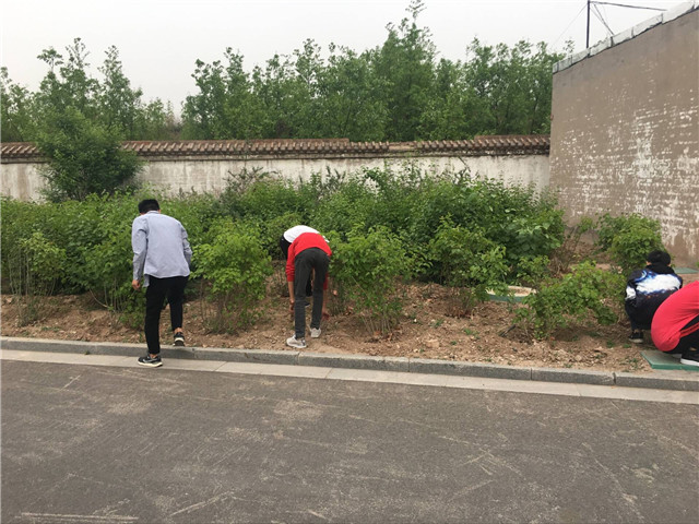 【完满班级】青春少年 完满人生——大数据学院、信息工程学院软件1503班完满班级活动