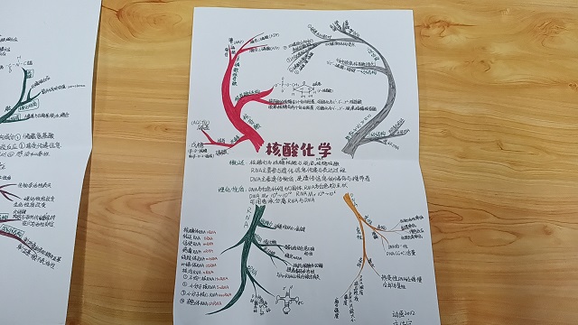【完满班级】关联重点知识 提高学习效率——食品与环境学院动医2002班完满班级活动