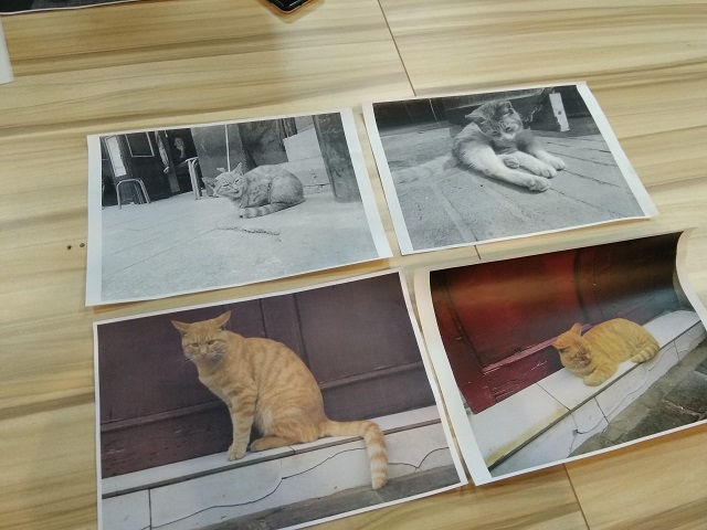 【完满班级】“遇见平遥”摄影展示——数字1801班完满班级