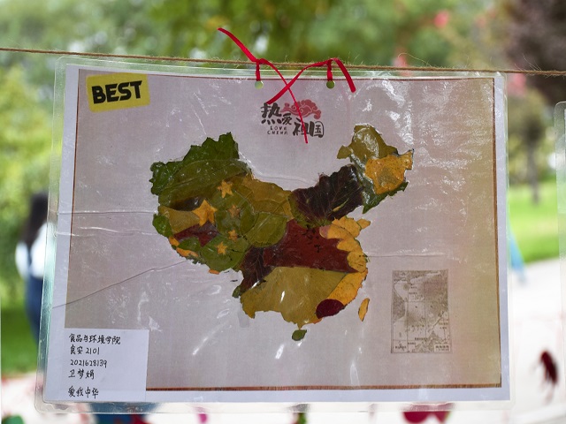 落叶传情 永留真心——食品与环境学院第八届“一叶知秋 落叶知情”树叶原创情书大赛