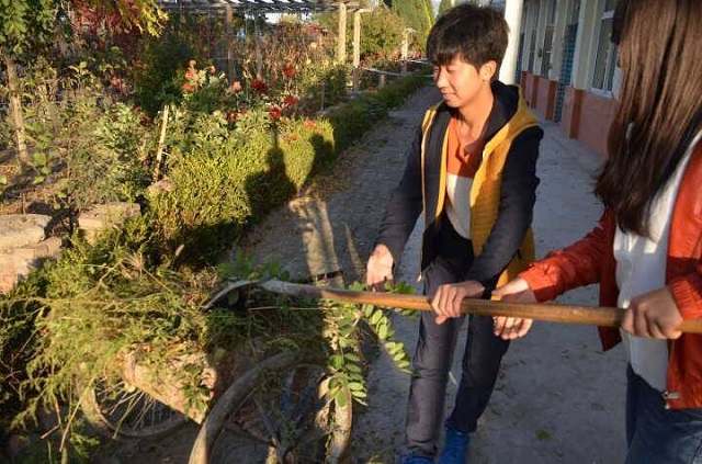 【学长计划】工管系第三十一期“凝神聚力 共筑完满”学长计划