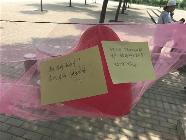 感恩父母 情暖五月——外语系举办“爱在心中·感恩更美”活动