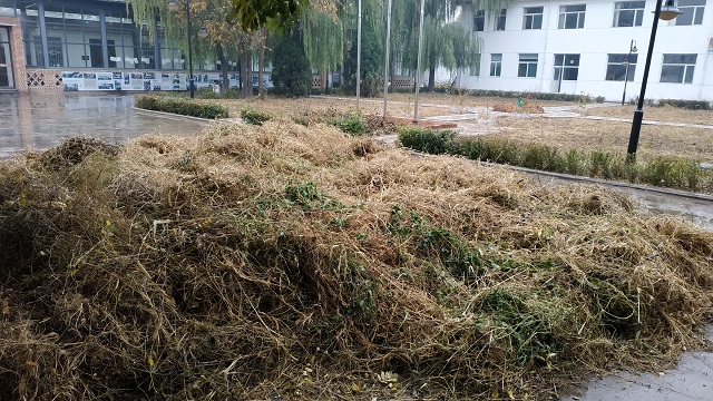 【辅导员说完满】 深秋 右岸剪影 双手筑就美好的家园——远景学院16级辅导员说完满