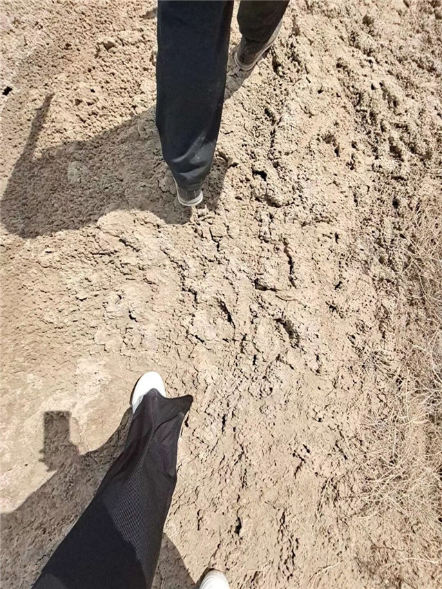 西部之声第16期：趁年轻 去做一些更加有意义的事情