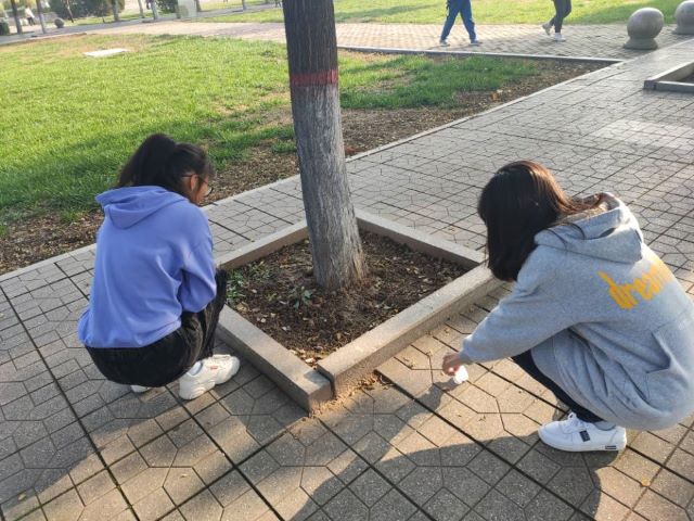 【完满班级】赠人玫瑰 手留余香——智能工程学院电气1901班完满班级活动