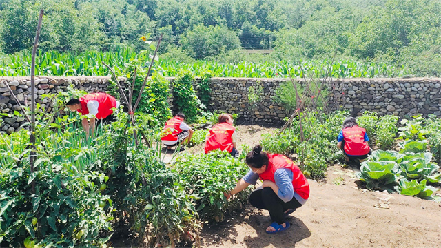 【三下乡】弘扬劳动教育 务实而有温度