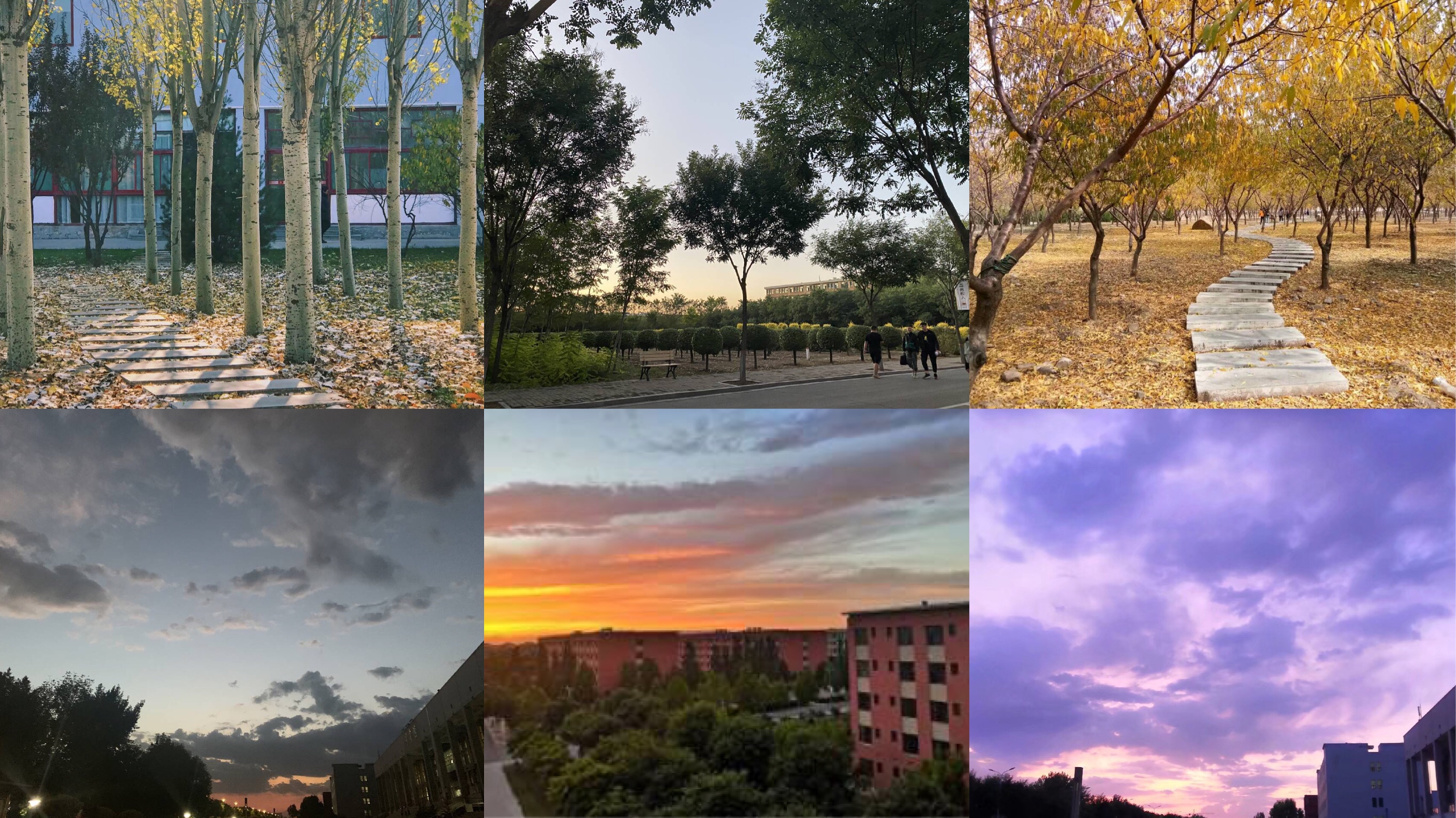 【完满班级】聚焦信院 留下美好——艺术传媒学院环设1703班艺术实践完满班级活动