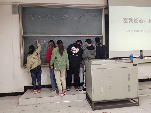 【完满班级】凝聚疫心 砥砺共进——食品与环境学院动医1902班完满班级活动