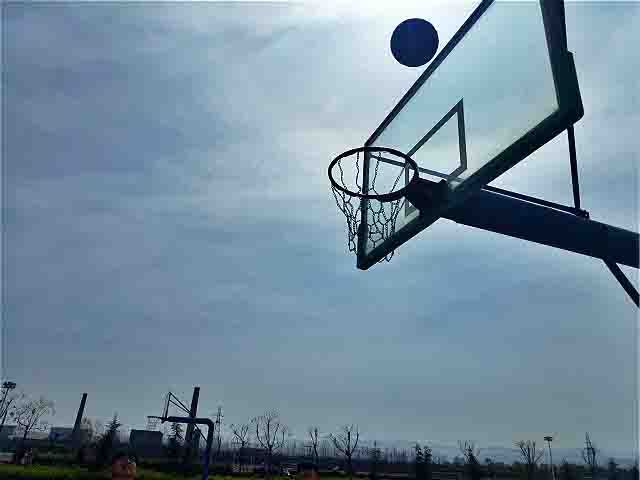 【完满班级】逐梦扬威 奋勇争先——艺术传媒学院环设1701班竞技体育完满班级活动