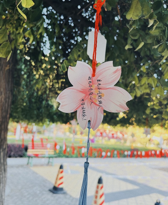 【迎新纪实】金秋九月 “商”院逢君 静待“新”颜