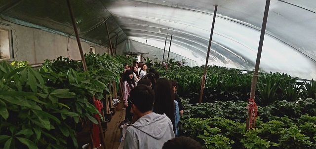 【完满班级】商业园艺 农业沙棘场——食品与环境学院园艺1601班吕梁野山坡沙棘场交流学习会