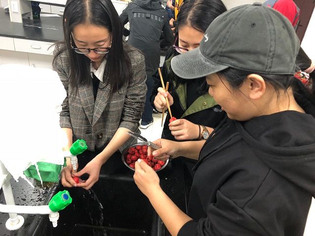 【完满班级】静候佳酿 细品韶华——食品与环境学院园艺1701班级实践研讨