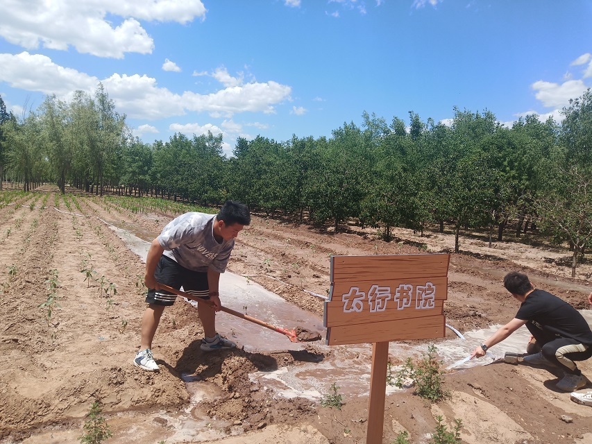 【信院农场】农耕项目第3期:六大书院携手并肩 用心浇灌幼苗茁壮成长