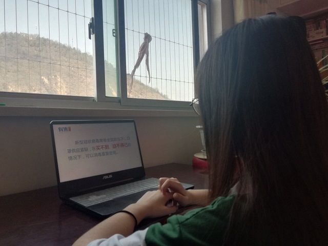 【完满班级】普及健康知识 维护个人安全——食品与环境学院动医1801班完满班级活动