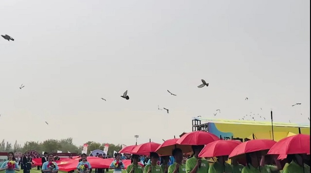 不同视角观校运 经管学子意气扬