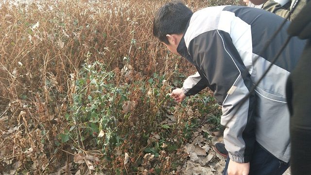 【完满班级】花开花落 终有归途——食品与环境学院资环1701班完满班级