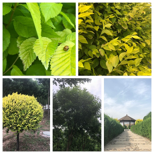 【完满班级】记录梦想瞬间 珍惜完满之旅——动画1701班“稍纵即逝 如梦如幻”完满班级活动