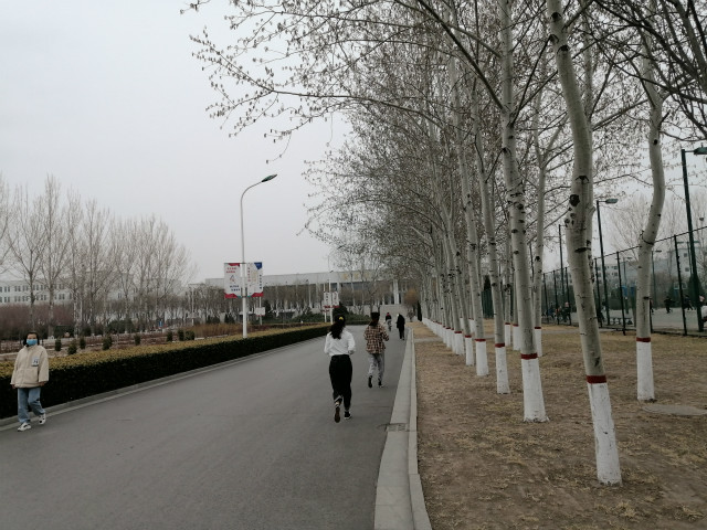 【完满班级】谱写青春之歌 展现运动精彩——外国语言文学系英语1903班、1906班完满班级活动