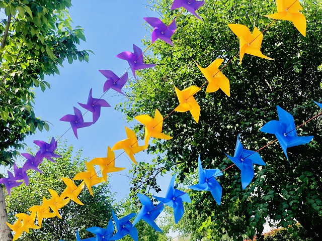 前行第178期：愿你跃入人海 各有风雨灿烂