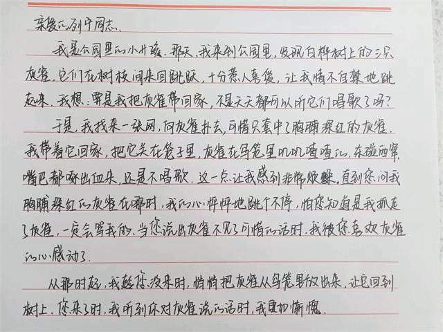 行远自迩 踔厉奋发——经济与管理学院十二月完满团支部活动集锦