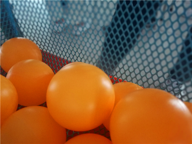 【完满班级】夜跑荧光  各展活力——淬炼商学院十月完满班级主题活动（二十一）