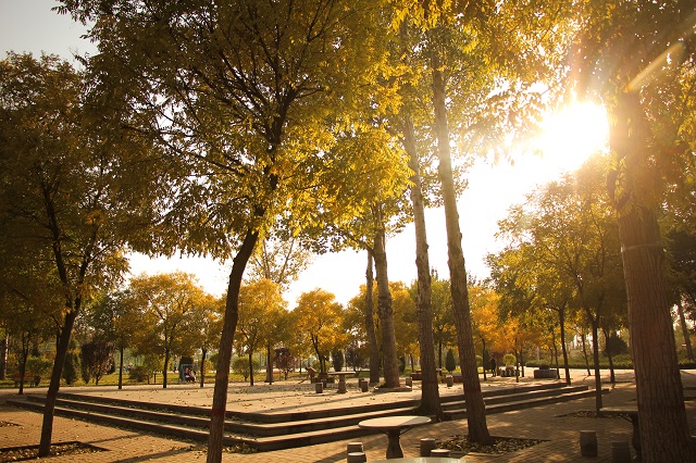 闪光的信院第253期：华丽绽放 舞姿飞扬 点亮梦想 这是“信院舞娘”龙起璞的故事。