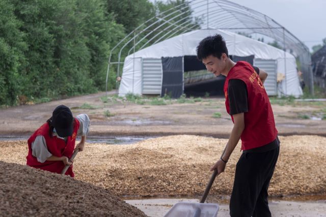 【暑期社会实践】夏季农忙时 劳作获真知——大数据学院、信息工程学院学习培育食用菌暑期社会实践活动