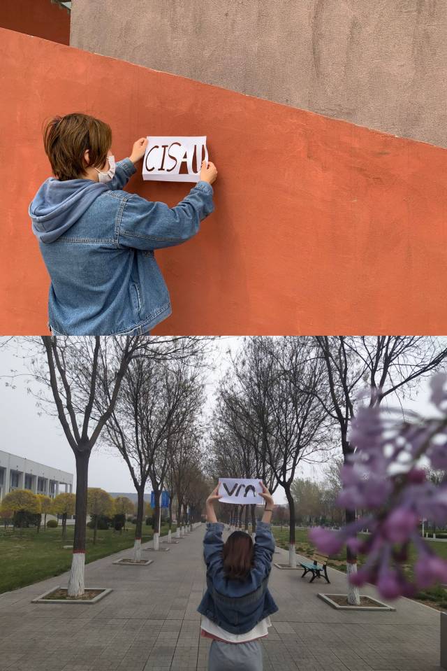 【完满班级】十年峥嵘枝叶繁 斑驳光影看信院——物流1902班“我和校园有个约会”春季剪影活动