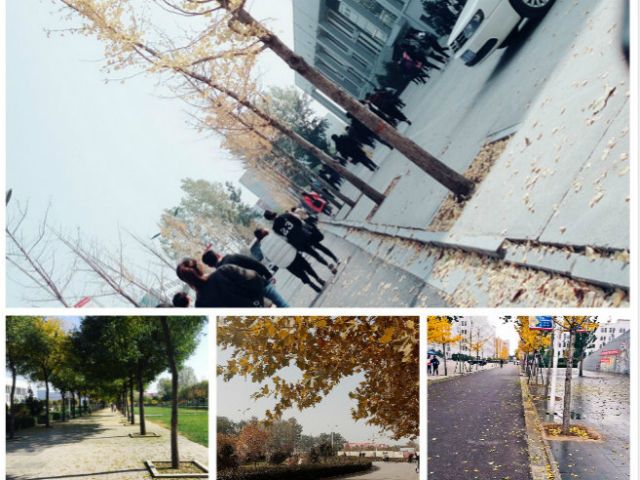 【完满班级】岁月必不负金秋之景——艺术传媒系产品1501班举办完满班级“秋的告白”活动第一期
