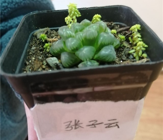 书院第三周活动纪实:我们一起“趣”书院