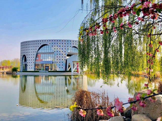 前行第177期:花开右岸 春抚信院