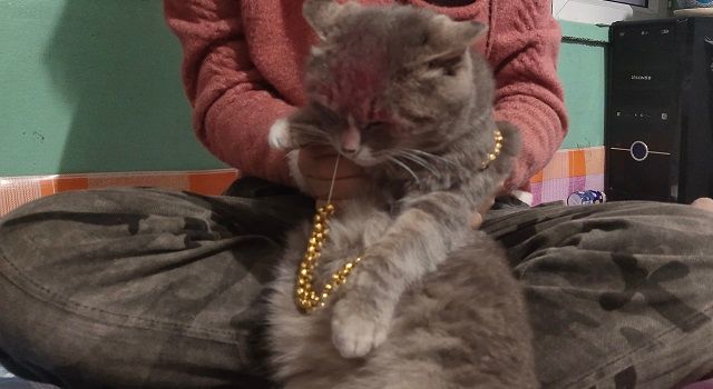 【完满班级】花样假期 迷惑行为—食品与环境学院土管1902班完满班级活动